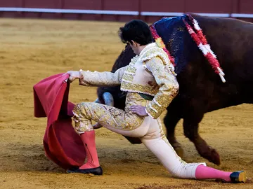 El matador madrileño López Simón con su tercer toro El matador madrileño López Simón con su tercer toro