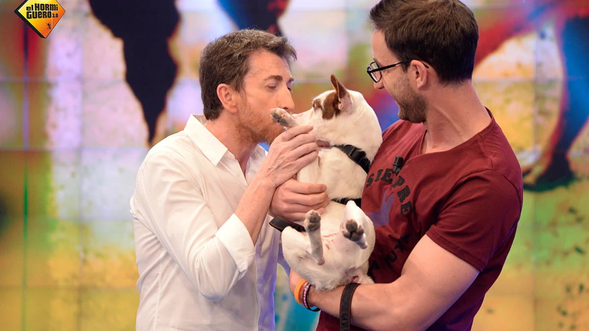 Mónica Carrillo en 'El Hormiguero 3.0'