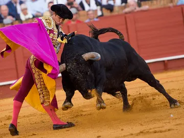 El diestro Julian López "El Juli" con su segundo toro El diestro Julian López "El Juli" con su segundo toro