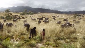 Fotograma de 'El libro de la selva'