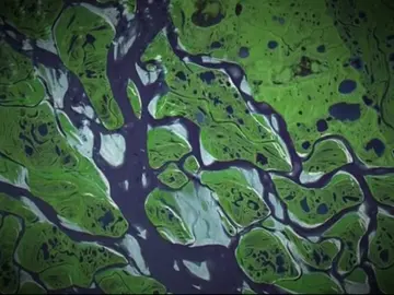 00172 00172