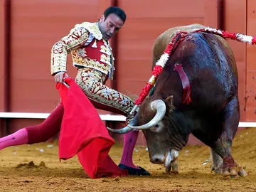 El diestro Enrique Ponce en la faena con la muleta a su primer toro El diestro Enrique Ponce en la faena con la muleta a su primer toro