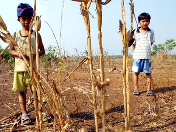 Sequía en Vietnam Sequía en Vietnam