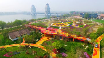 Floreciendo en China (11-04-2016)