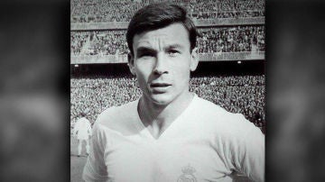Pedro de Felipe, exjugador del Real Madrid