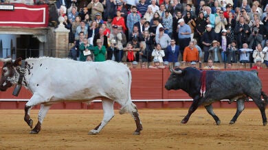 Sevilla perdona la vida a un gran toro de Victorino