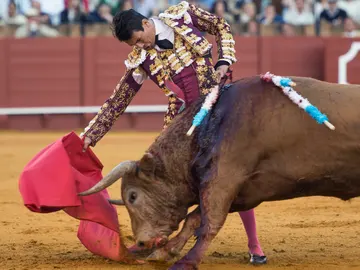 El diestro José María Manzanares con el quinto toro de la tarde, al que le ha cortado una oreja El diestro José María Manzanares con el quinto toro de la tarde, al que le ha cortado una oreja