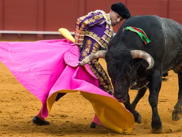 Rafaelillo corta la última oreja a una endeble corrida de Miura Rafaelillo corta la última oreja a una endeble corrida de Miura