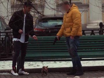 Ofrece dinero por disparar a su perro