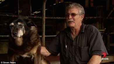 Muere en Australia a los 30 años el que podría ser el perro más viejo del mundo