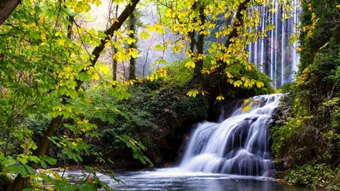 Monasterio de Piedra Monasterio de Piedra