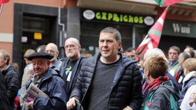 Otegi en el Parlamento Europeo: 