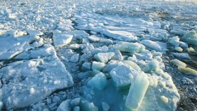 Se prevé que el cambio climático cause cerca de 250.000 muertes al año entre 2030 y 2050