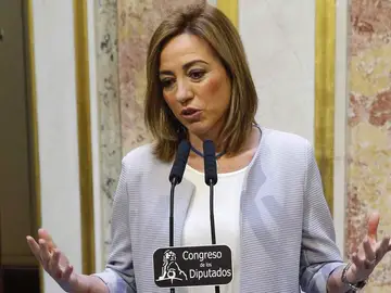 Carme Chacón, en el Congreso Carme Chacón, en el Congreso
