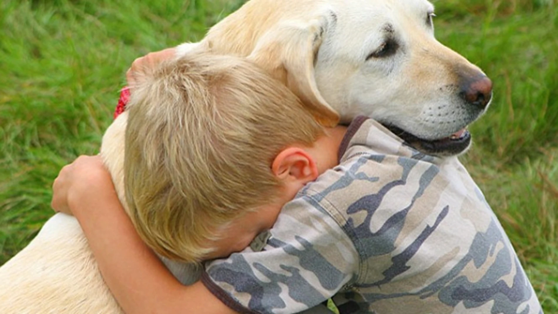 Un niño abraza a su perro Un niño abraza a su perro