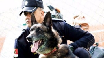 Chusky, el perro policía