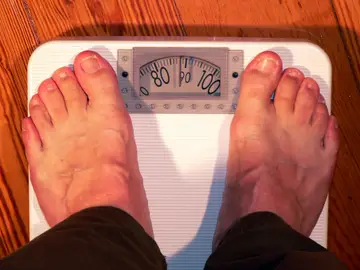 Científicos relacionan la obesidad con la exposición a los productos químicos Científicos relacionan la obesidad con la exposición a los productos químicos