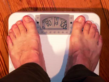 Científicos relacionan la obesidad con la exposición a los productos químicos Científicos relacionan la obesidad con la exposición a los productos químicos