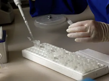 Investigación con embriones Investigación con embriones