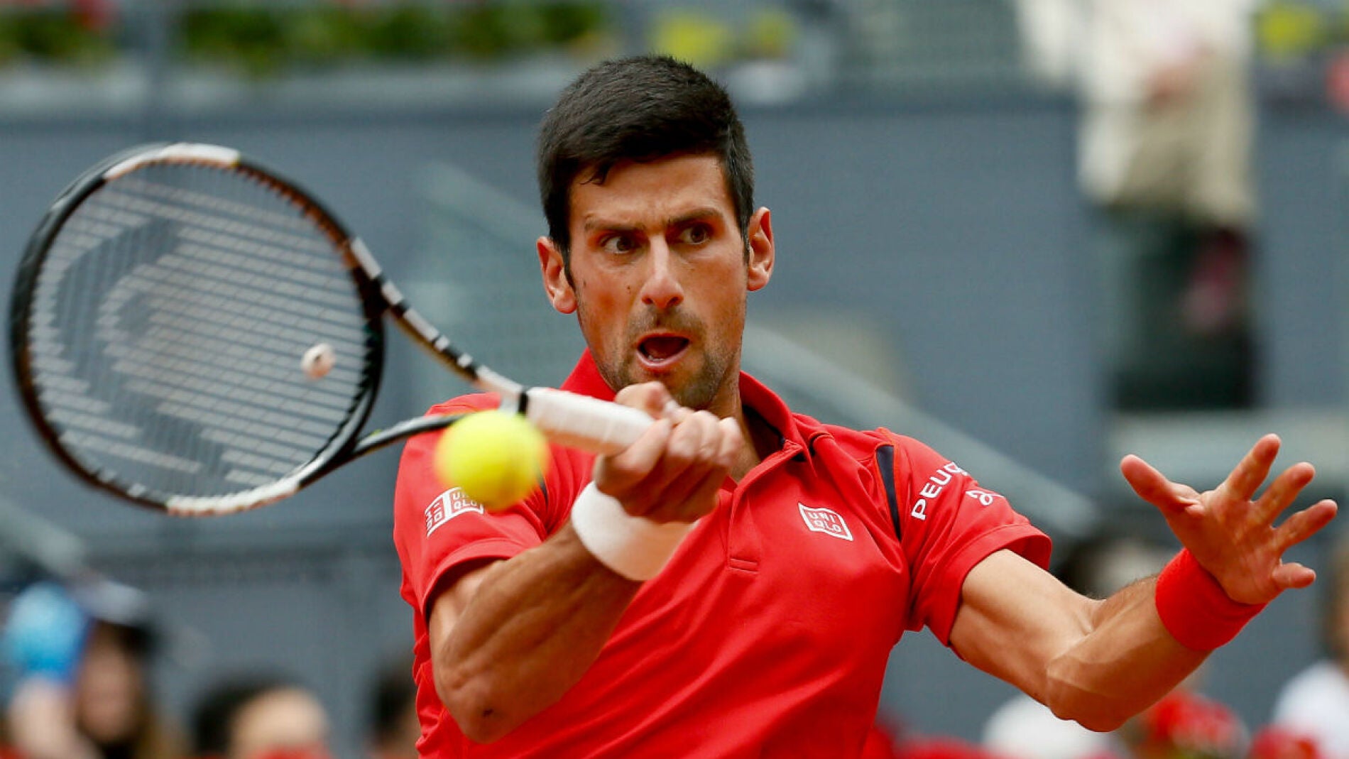 Djokovic golpea una pelota ante Bautista
