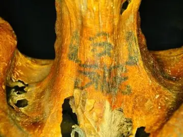 Momia egipcia Momia egipcia