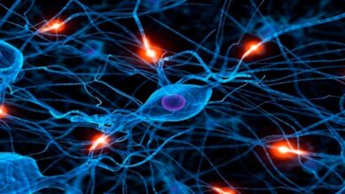 Un experto asegura que la inteligencia artificial superará a la humana en 2029