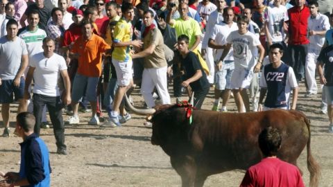 Participantes en el encierro del torneo del Toro de la Vega en 2014