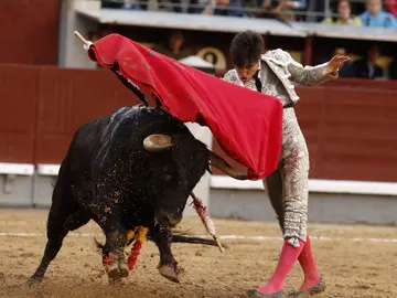 El novillero Álvaro Lorenzo El novillero Álvaro Lorenzo