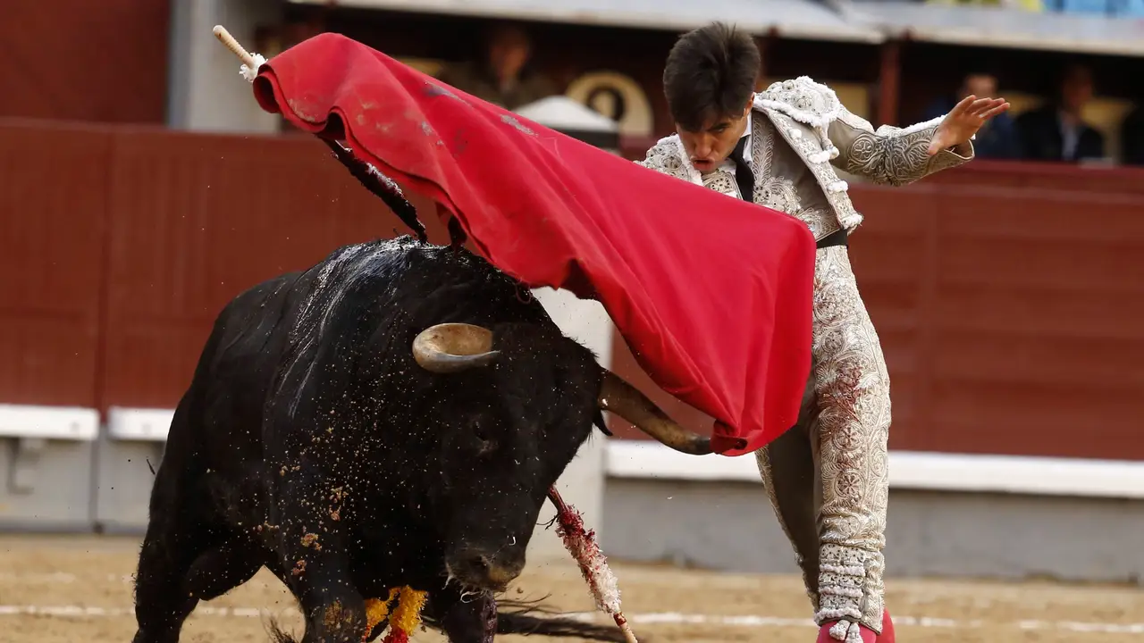 El novillero Álvaro Lorenzo