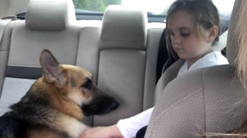 La niña con el perro