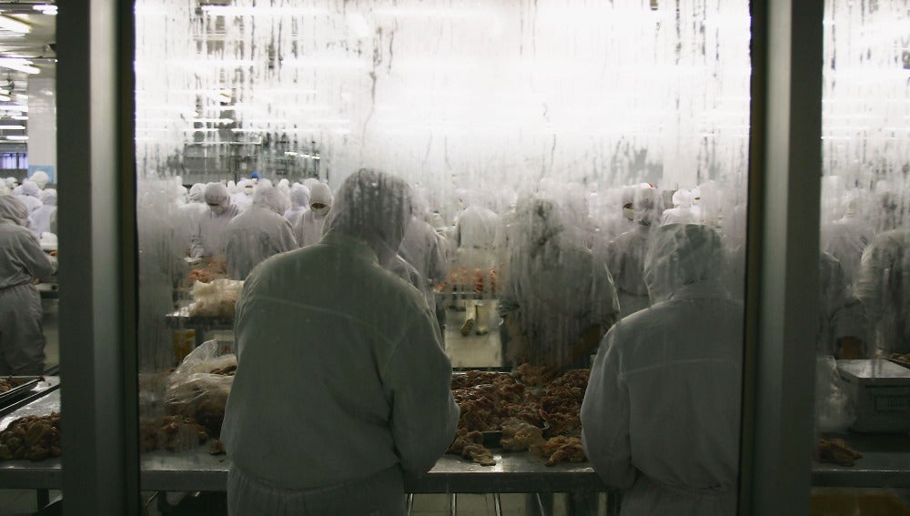Trabajadores de una compa&ntilde;&iacute;a av&iacute;cola