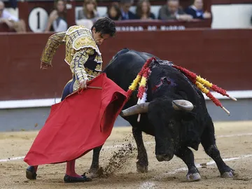 El diestro Juan del Álamo da un pase con la muleta a su segundo El diestro Juan del Álamo da un pase con la muleta a su segundo