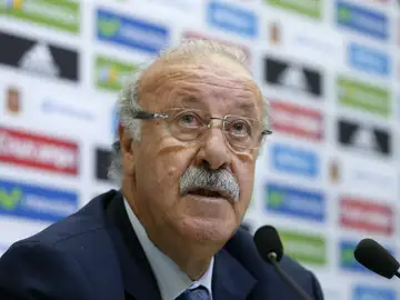 Vicente del Bosque atiende a los periodistas en Las Rozas Vicente del Bosque atiende a los periodistas en Las Rozas
