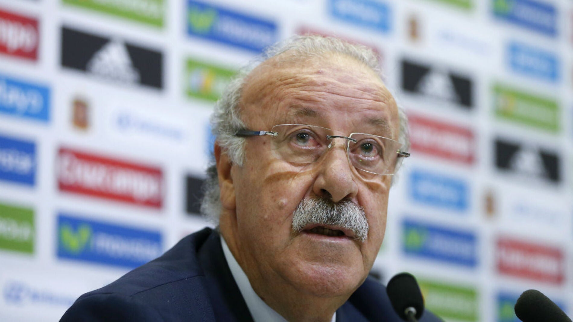 Vicente del Bosque atiende a los periodistas en Las Rozas