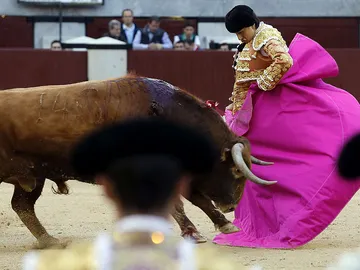 Andrés Roca Rey Andrés Roca Rey