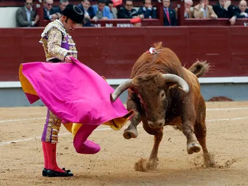 Alejandro Talavante Alejandro Talavante