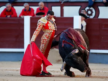 El torero valenciano Enrique Ponce El torero valenciano Enrique Ponce