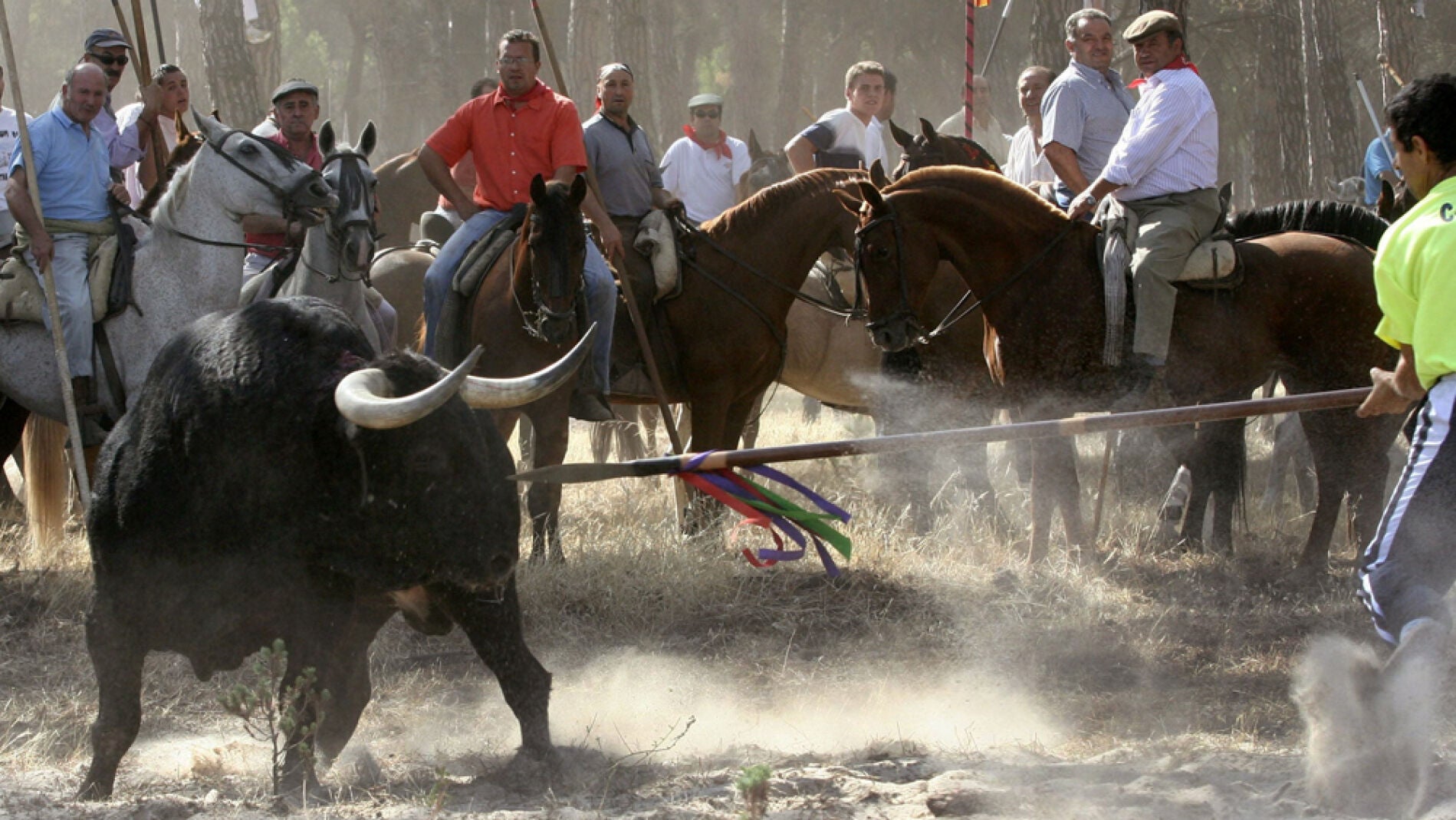 Celebraci&oacute;n del Toro de la Vega del a&ntilde;o 2006