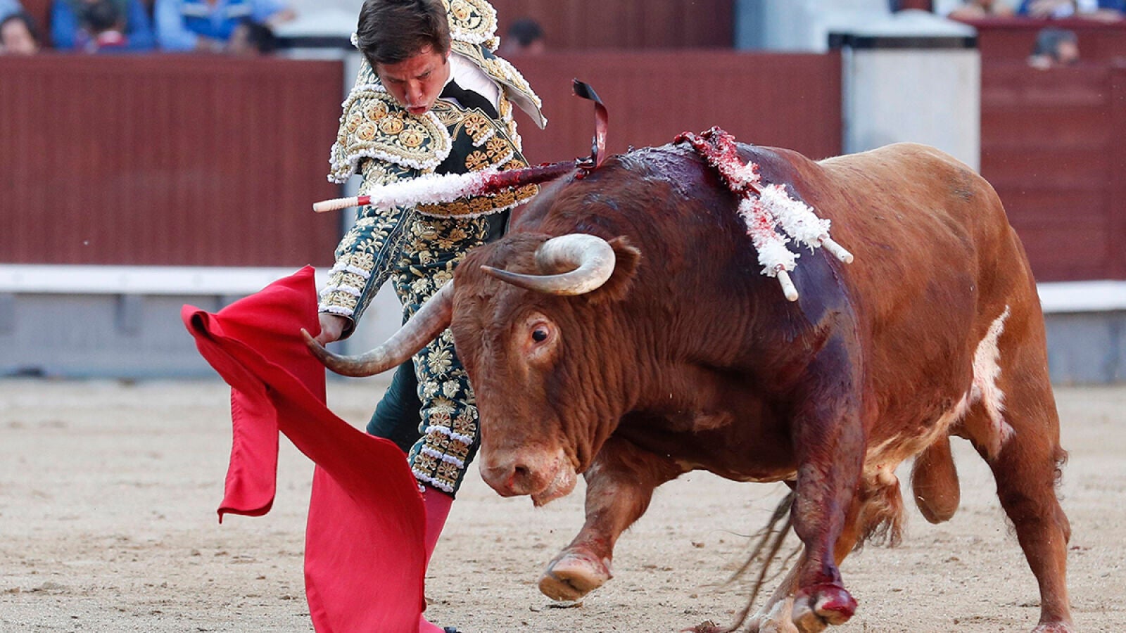 La mansedumbre de los 'Alcurrucenes' suma a la feria otro desastre ganadero