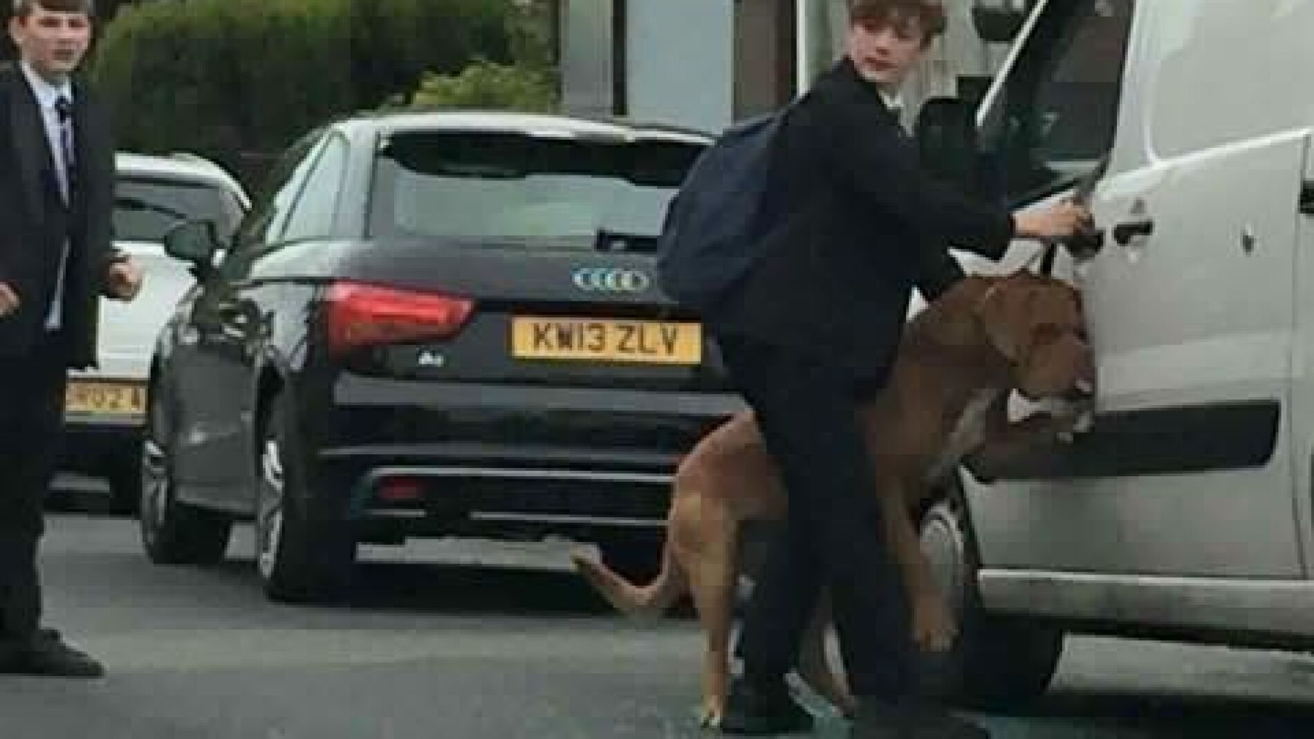 El joven descolgando al perro