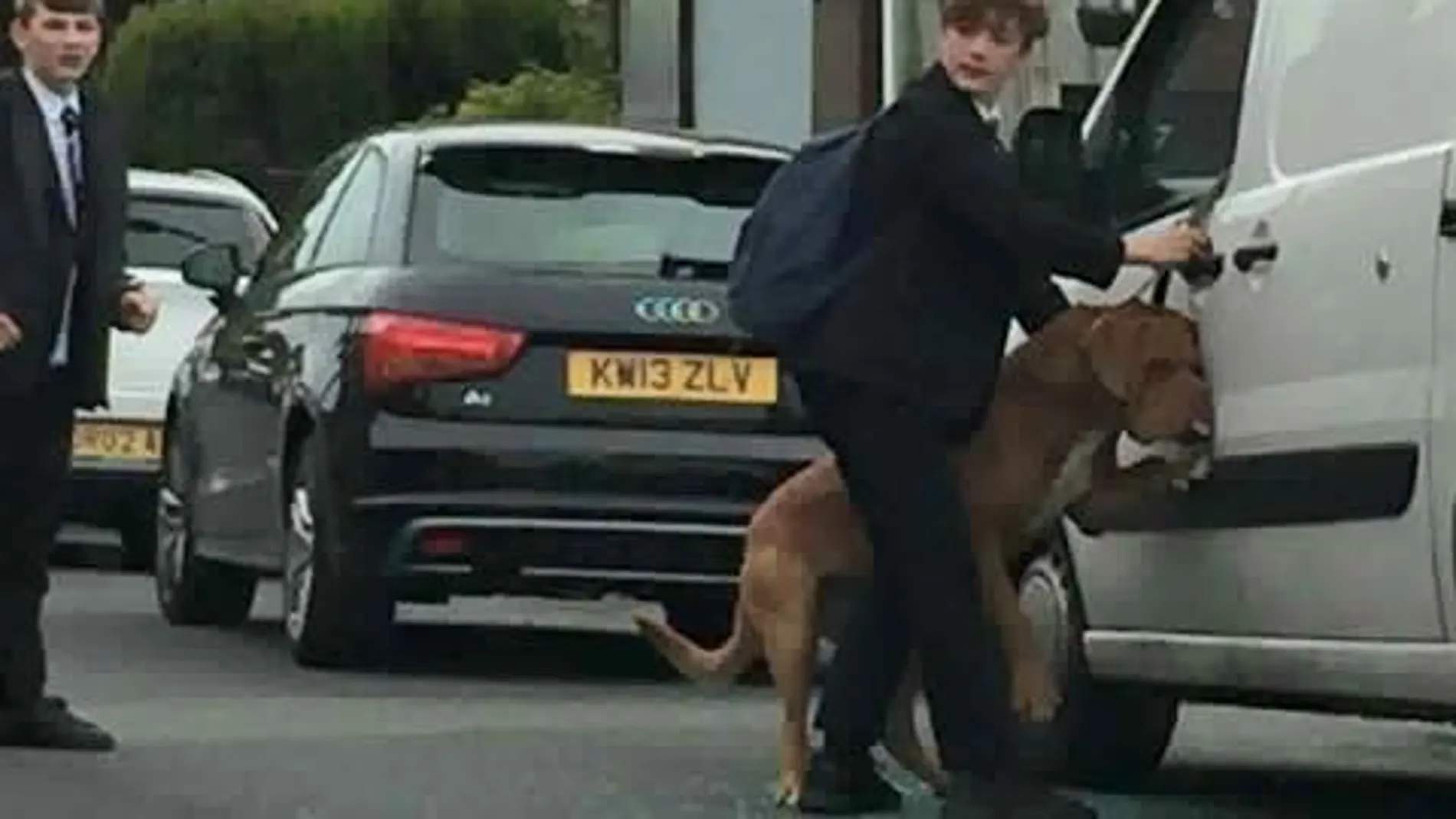 El joven descolgando al perro El joven descolgando al perro