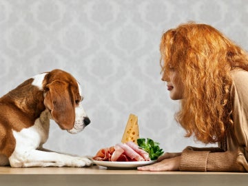 Perro y dueña comiendo