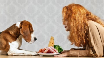 Perro y dueña comiendo