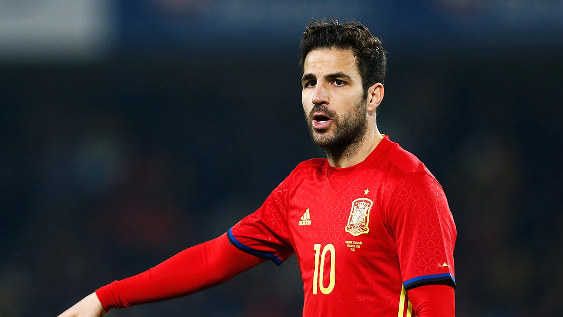 Cesc Fábregas con la Selección de España Cesc Fábregas con la Selección de España