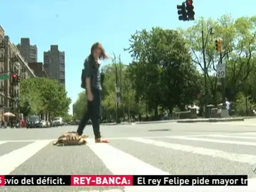 Frame 20.511977 de: tortuga Frame 20.511977 de: tortuga