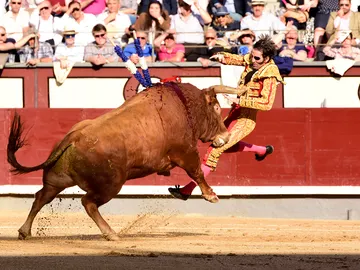 Juan José Padilla Juan José Padilla