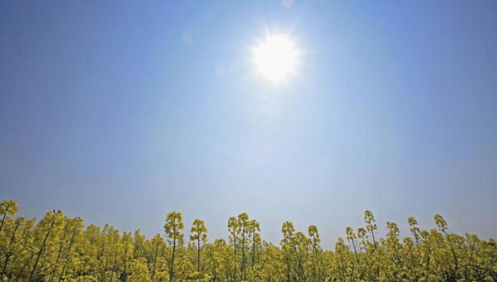 Sol