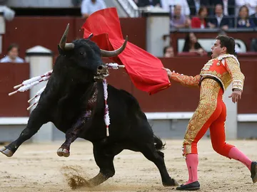 El diestro Rubén Pinar El diestro Rubén Pinar
