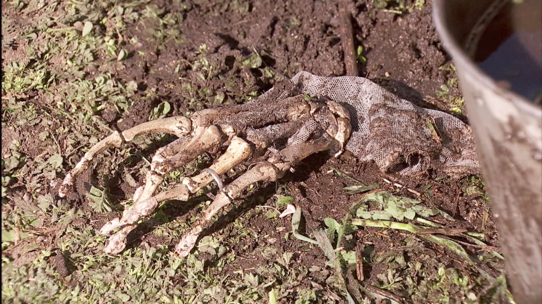 El&iacute;as descubre restos humanos en la antigua casa de Hernando
