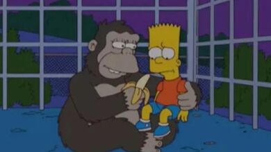 ¿Predijeron 'Los Simpson' la tragedia del gorila Harambe en el zoo de Cincinnati?